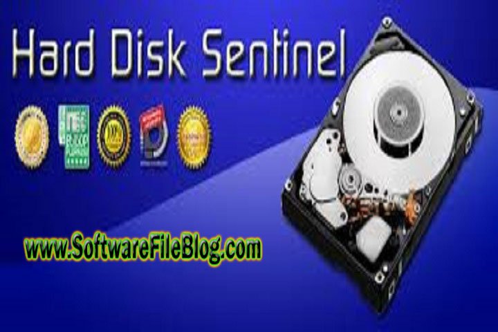 Hard Diisk Sentinel Pro 6.01.9 Beta Free Download with Crack