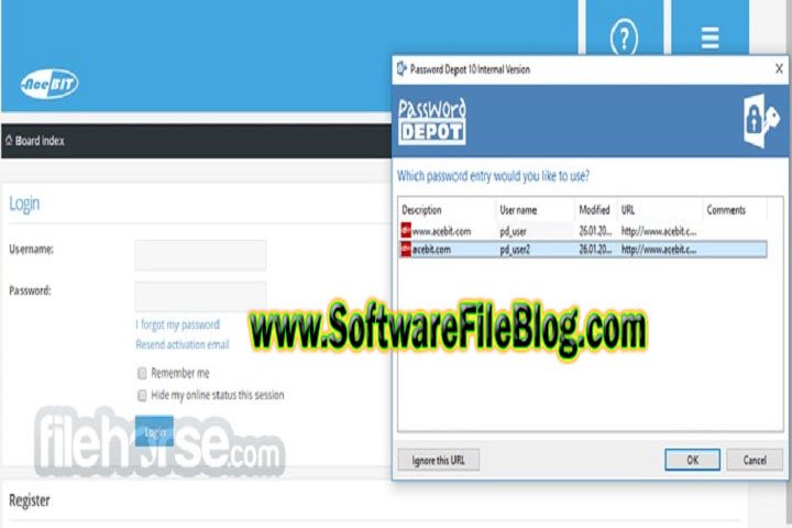 Password Depot 16 x 86 Free Download with  Crack