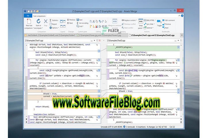 Araxis Merge Professional Edition 2023.5848 Free Download With Patch