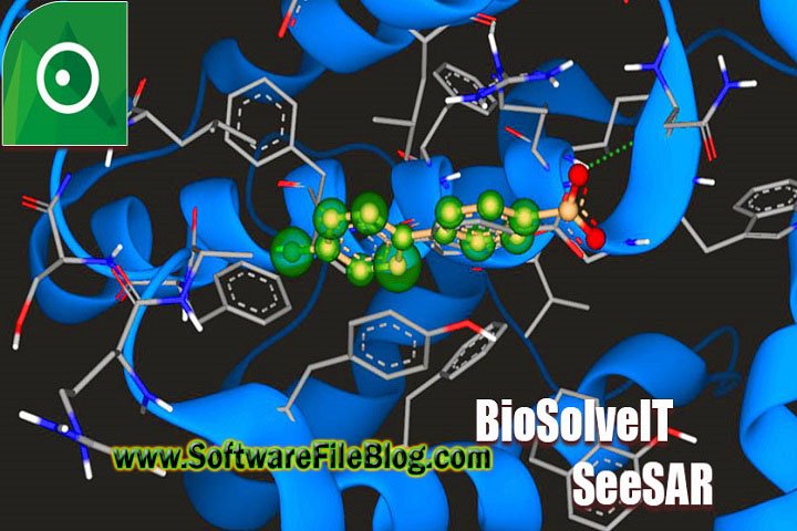 Bio Solve IT See sar 12.1.0 Free Download with Crack