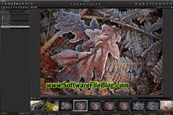 capture one 23 pro 16211384 with crack repack Overview: