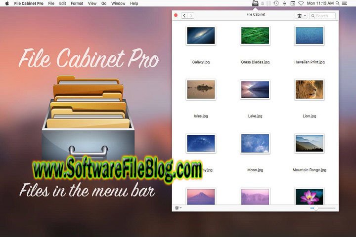 Software Features File Cabinet Pro 8 5 2 Pc Software