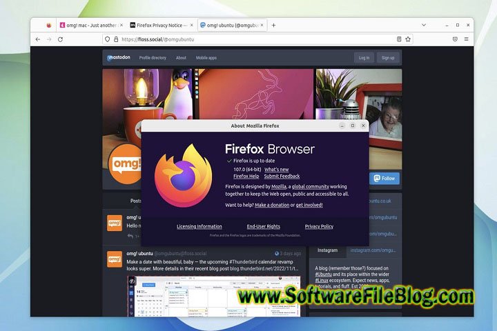 Mozilla Firefox 116 x64 Technical Setup Details: