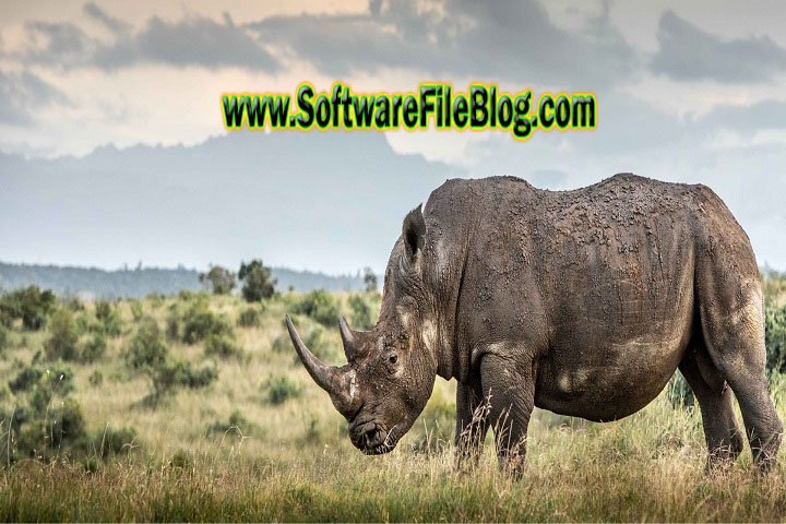 Software Features Rhinoceros 7 32 23221 10241 Pc Software
