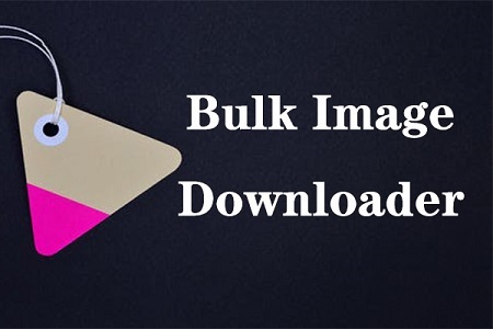 Bulk image downloader fast tool